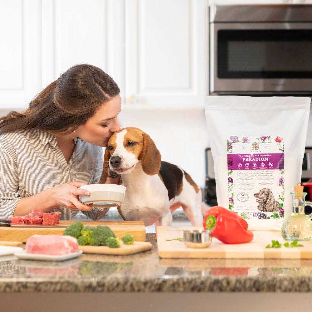 Superfood Dog Food L595