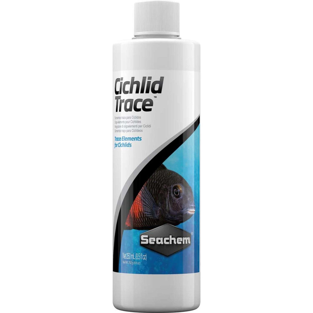 Cichlid Trace M7652