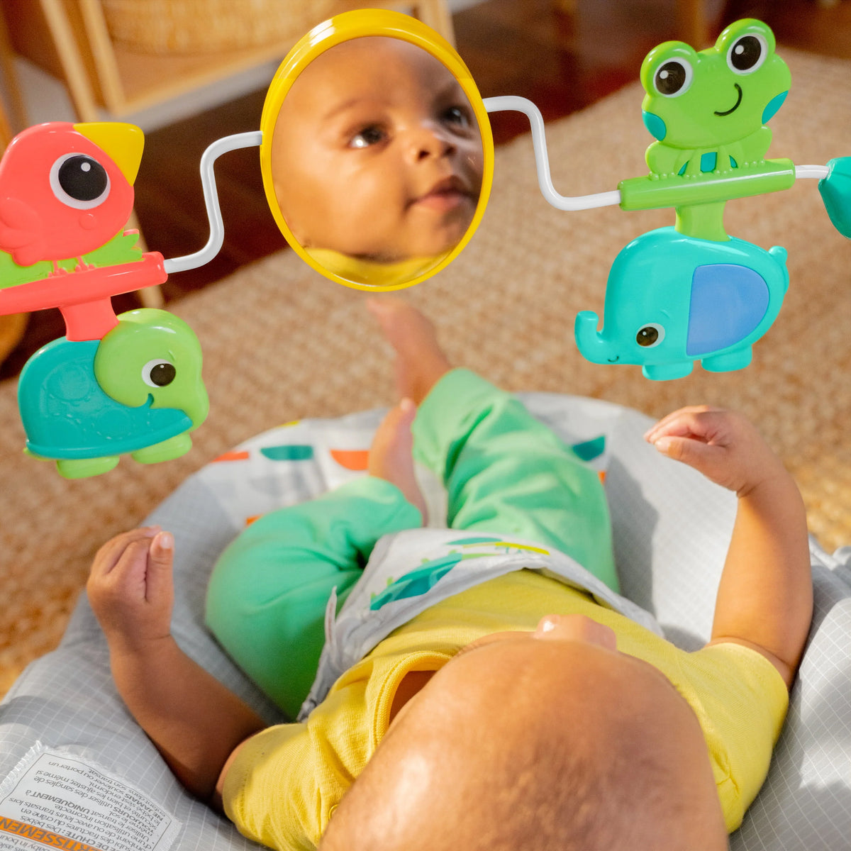 Vibrating Baby Bouncer F846791