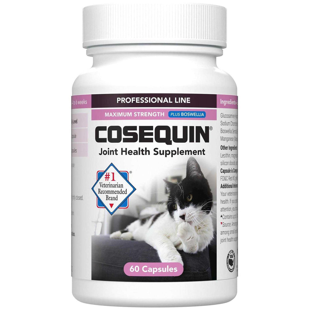 Joint Health Cat Supplement Capsules B201