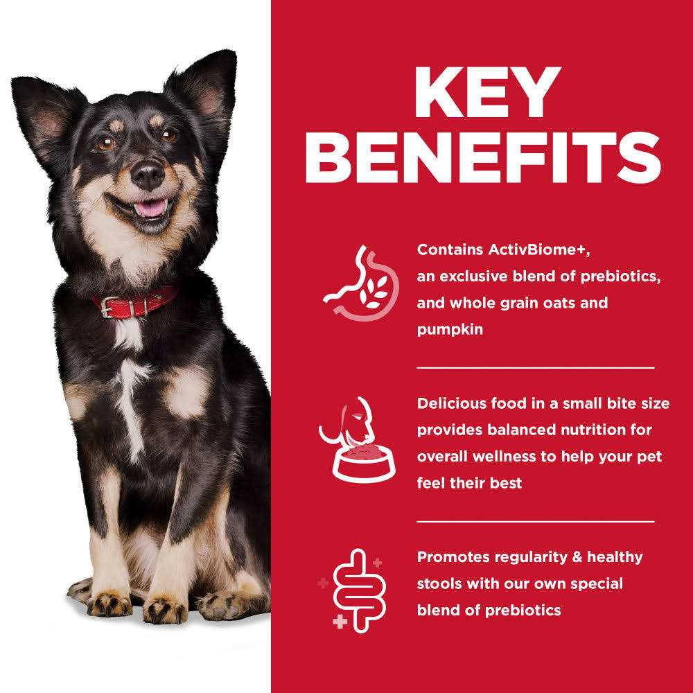 Chicken Dry Dog Food A951452