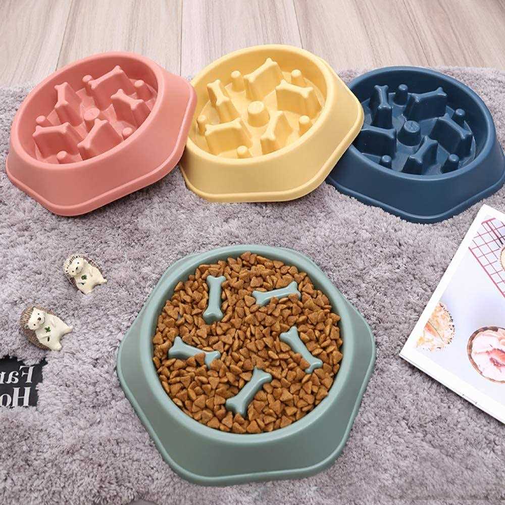 Slow Feeder Non Slip Dog Bowl A16105