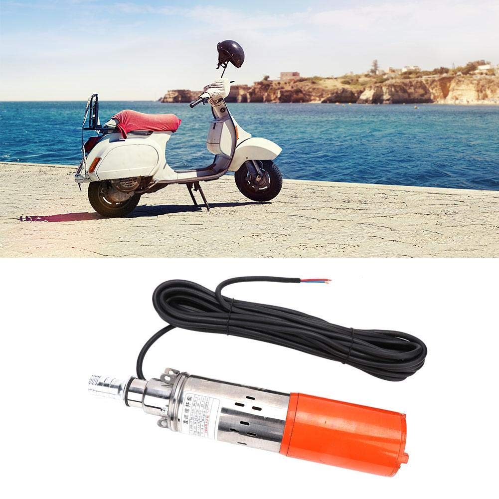 1-inch 12V Stainless Steel DC Screw Pump 260W M829