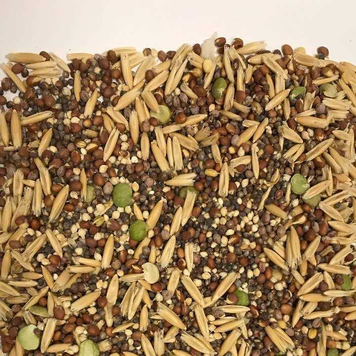 Sprout Blend Bird Treats H263