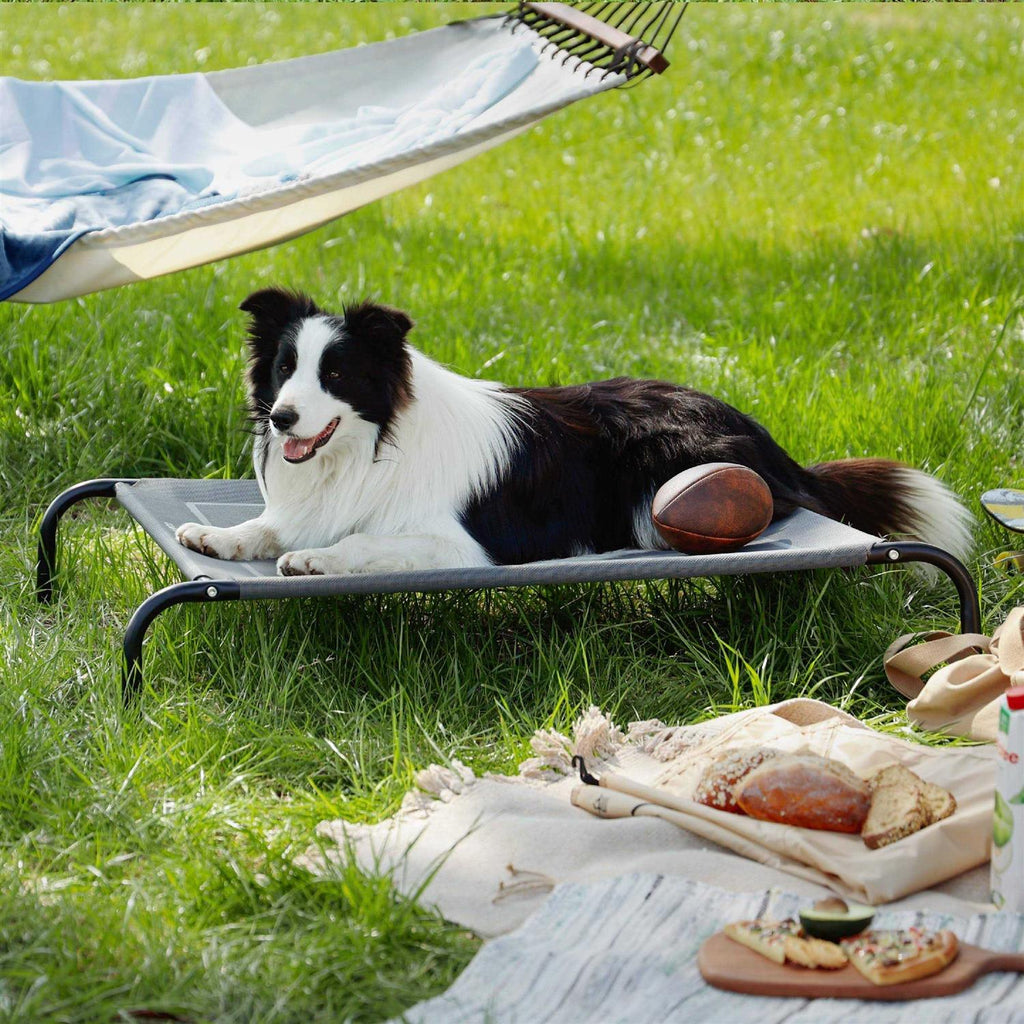 Large Elevated Cooling Outdoor Dog Bed Y619