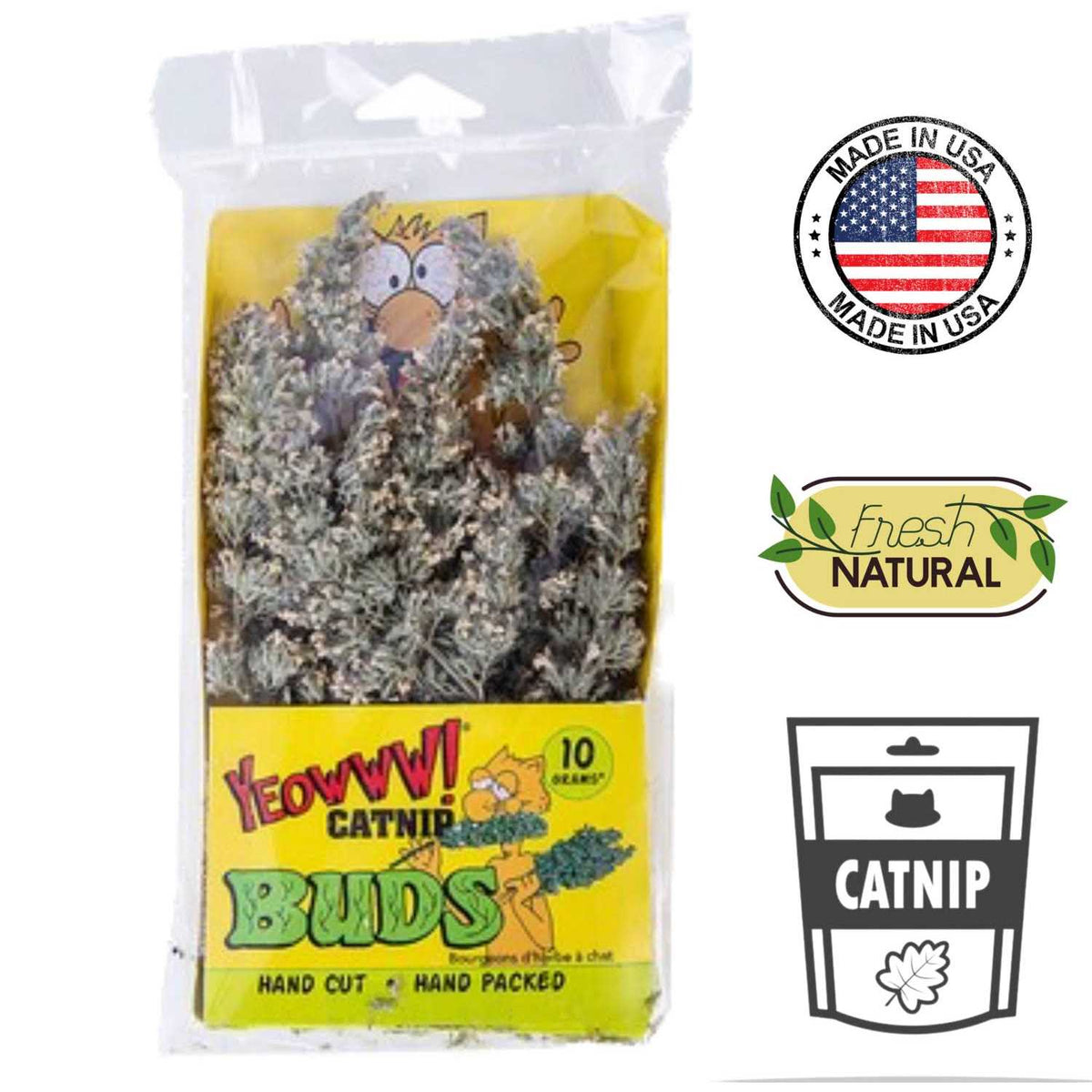 Catnip Buds G867792