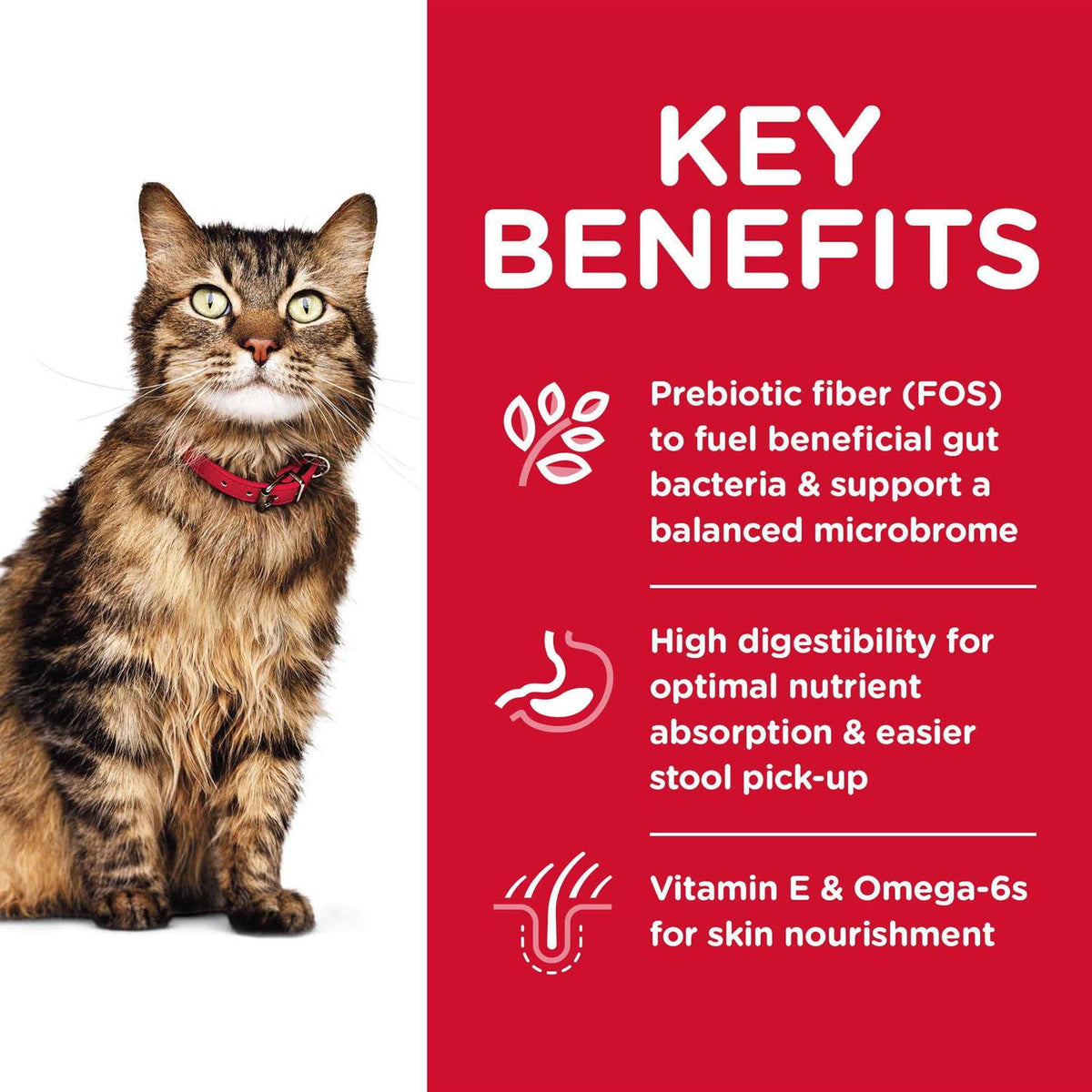 Sensitive Stomach and Skin Adult Dry Cat Food X202